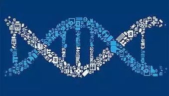 供应链管理服务 强劲发展势头下的未来趋势展望